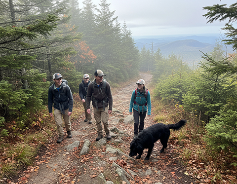  Mount Mitchell Trail